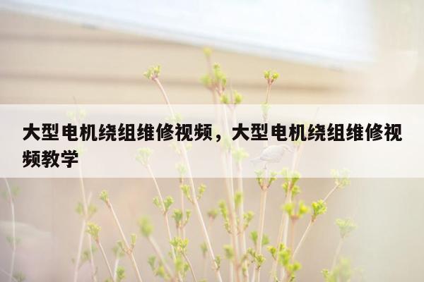 大型电机绕组维修视频，大型电机绕组维修视频教学