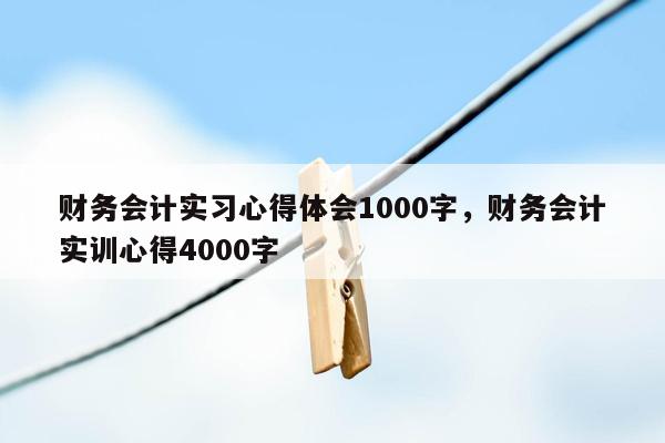 财务会计实习心得体会1000字，财务会计实训心得4000字