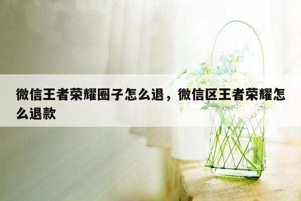 微信王者荣耀圈子怎么退，微信区王者荣耀怎么退款