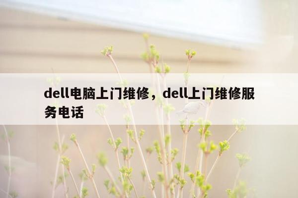 dell电脑上门维修，dell上门维修服务电话