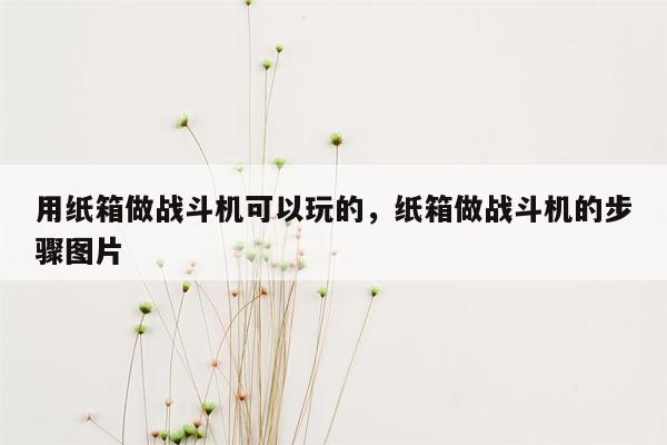 用纸箱做战斗机可以玩的，纸箱做战斗机的步骤图片