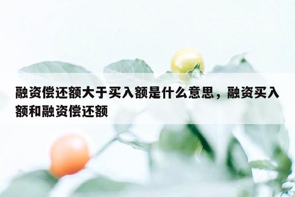 融资偿还额大于买入额是什么意思，融资买入额和融资偿还额