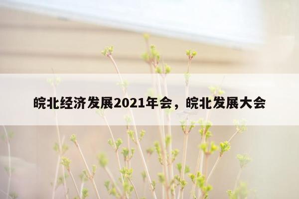 皖北经济发展2021年会，皖北发展大会