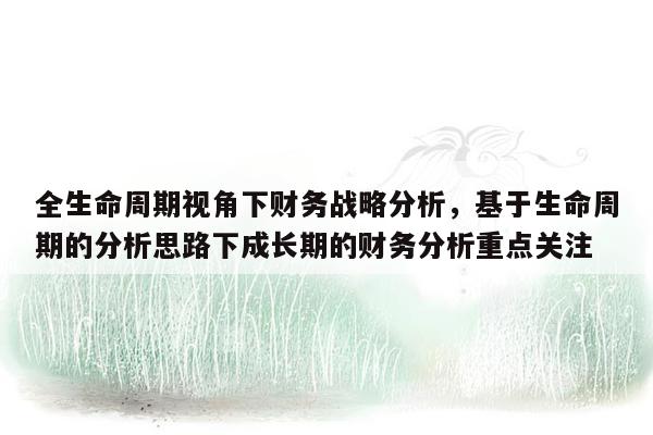 全生命周期视角下财务战略分析，基于生命周期的分析思路下成长期的财务分析重点关注