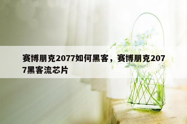 赛博朋克2077如何黑客，赛博朋克2077黑客流芯片