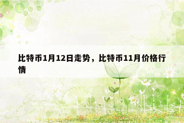 比特币1月12日走势，比特币11月价格行情