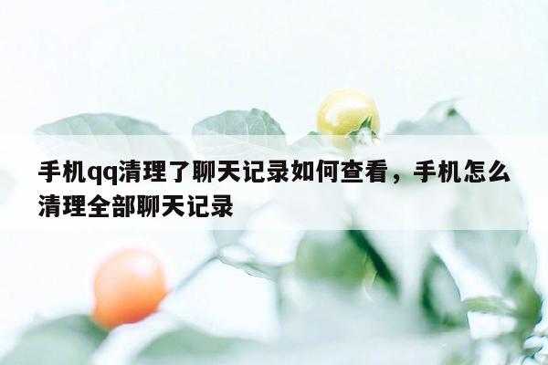 手机qq清理了聊天记录如何查看，手机怎么清理全部聊天记录