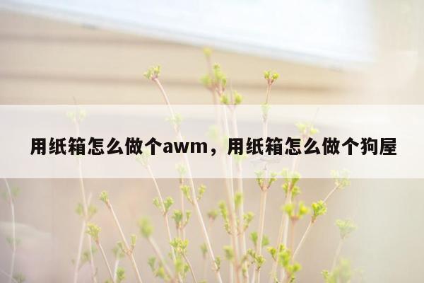 用纸箱怎么做个awm，用纸箱怎么做个狗屋