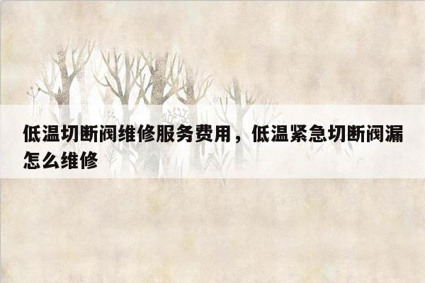 低温切断阀维修服务费用，低温紧急切断阀漏怎么维修