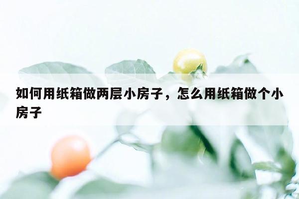 如何用纸箱做两层小房子，怎么用纸箱做个小房子