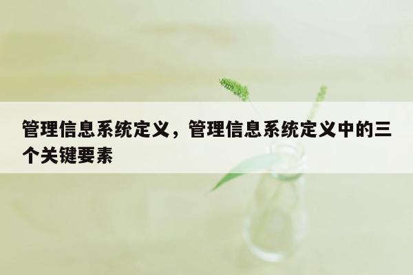 管理信息系统定义，管理信息系统定义中的三个关键要素