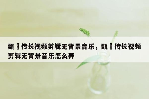 甄嬛传长视频剪辑无背景音乐，甄嬛传长视频剪辑无背景音乐怎么弄