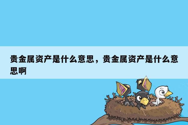 贵金属资产是什么意思，贵金属资产是什么意思啊