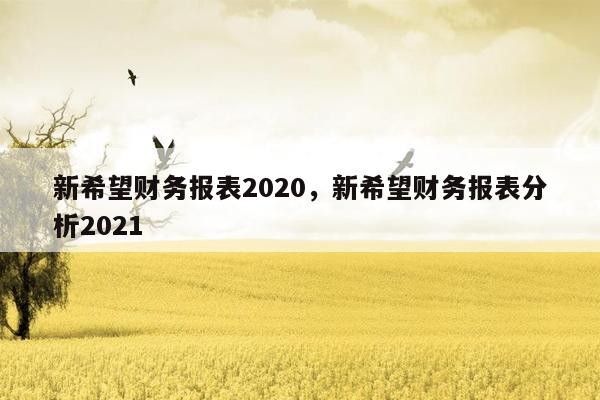 新希望财务报表2020，新希望财务报表分析2021