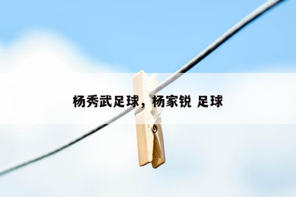 杨秀武足球，杨家锐 足球