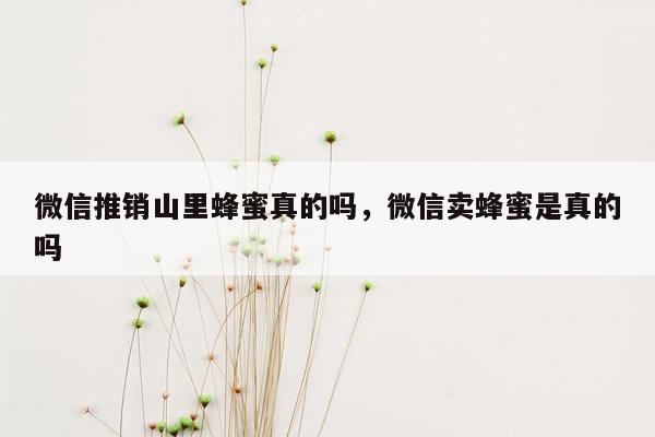 微信推销山里蜂蜜真的吗，微信卖蜂蜜是真的吗