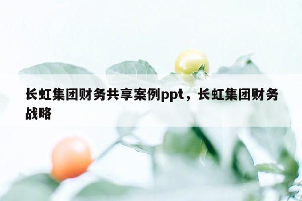 长虹集团财务共享案例ppt，长虹集团财务战略