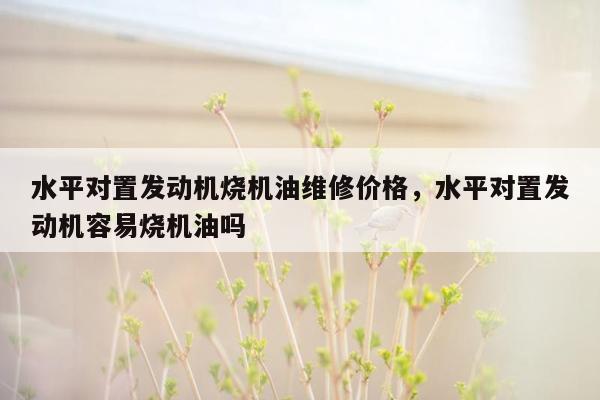 水平对置发动机烧机油维修价格，水平对置发动机容易烧机油吗