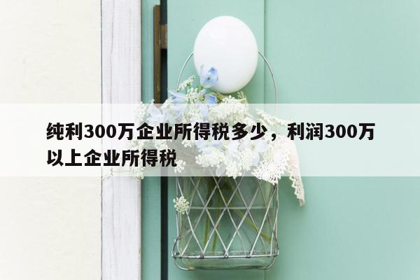 纯利300万企业所得税多少，利润300万以上企业所得税