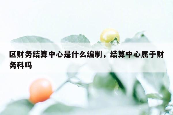 区财务结算中心是什么编制，结算中心属于财务科吗