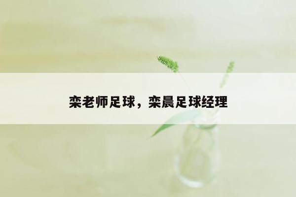 栾老师足球，栾晨足球经理