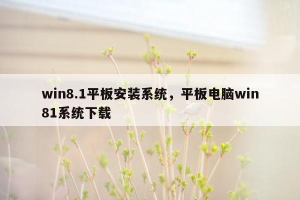 win8.1平板安装系统，平板电脑win81系统下载