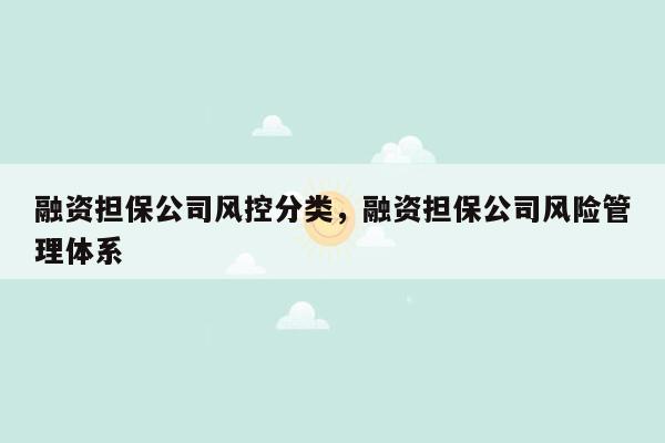 融资担保公司风控分类，融资担保公司风险管理体系