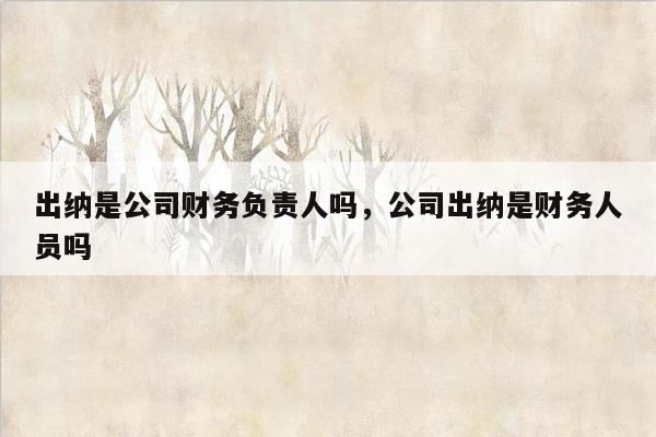 出纳是公司财务负责人吗，公司出纳是财务人员吗