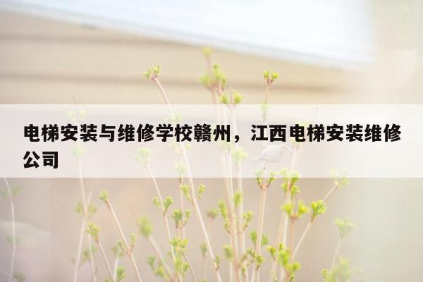 电梯安装与维修学校赣州，江西电梯安装维修公司