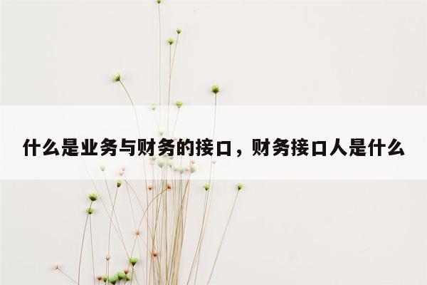 什么是业务与财务的接口，财务接口人是什么