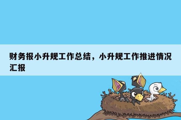 财务报小升规工作总结，小升规工作推进情况汇报