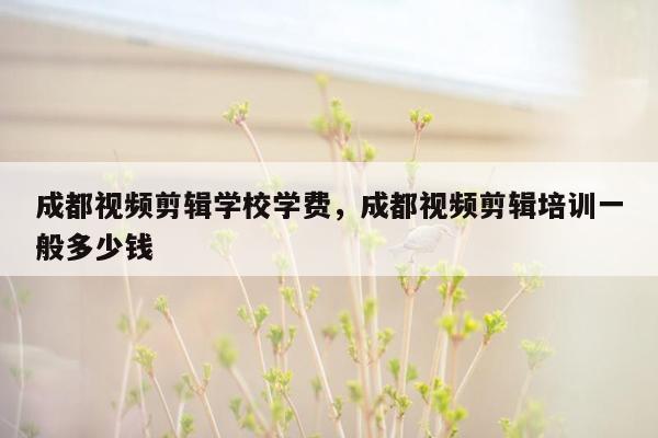 成都视频剪辑学校学费，成都视频剪辑培训一般多少钱