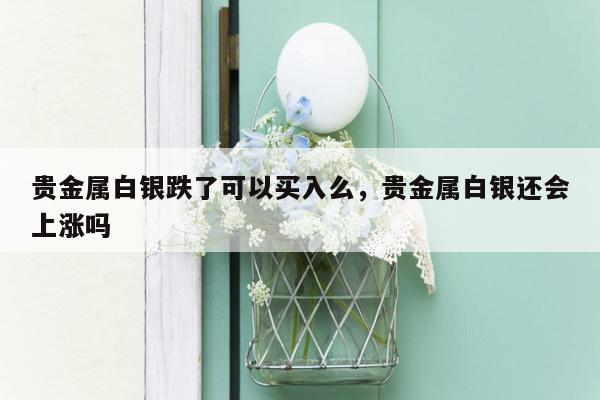 贵金属白银跌了可以买入么，贵金属白银还会上涨吗