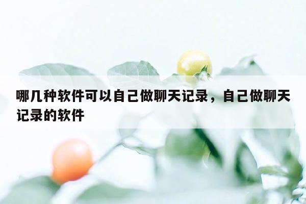 哪几种软件可以自己做聊天记录，自己做聊天记录的软件