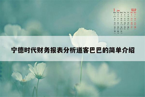 宁德时代财务报表分析道客巴巴的简单介绍