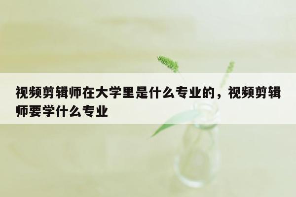 视频剪辑师在大学里是什么专业的，视频剪辑师要学什么专业