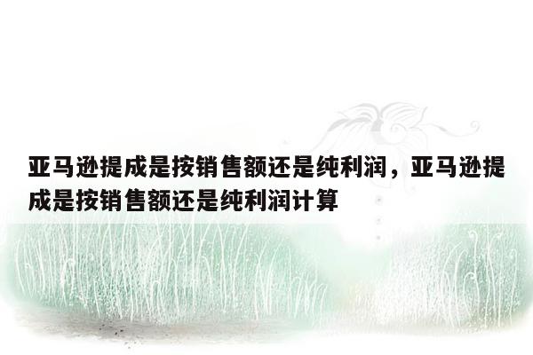 亚马逊提成是按销售额还是纯利润，亚马逊提成是按销售额还是纯利润计算