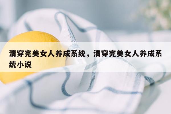 清穿完美女人养成系统，清穿完美女人养成系统小说