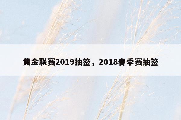 黄金联赛2019抽签，2018春季赛抽签