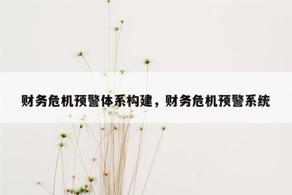 财务危机预警体系构建，财务危机预警系统