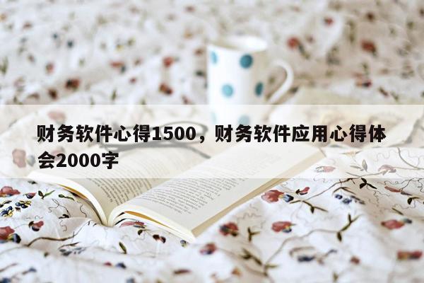 财务软件心得1500，财务软件应用心得体会2000字