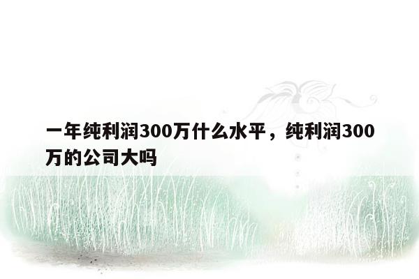 一年纯利润300万什么水平，纯利润300万的公司大吗