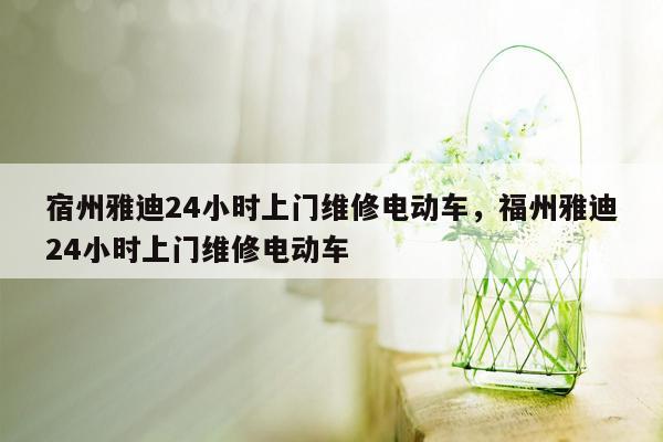 宿州雅迪24小时上门维修电动车，福州雅迪24小时上门维修电动车