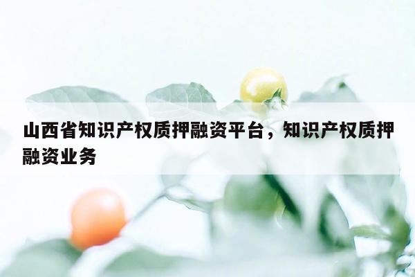 山西省知识产权质押融资平台，知识产权质押融资业务