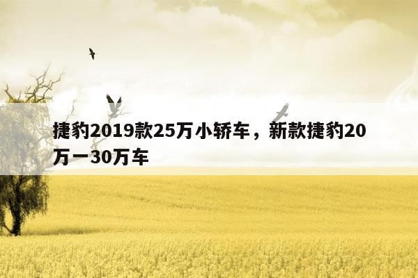 捷豹2019款25万小轿车，新款捷豹20万一30万车