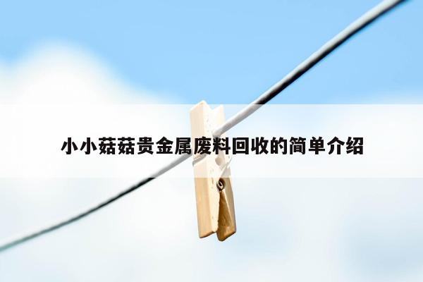 小小菇菇贵金属废料回收的简单介绍