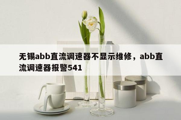 无锡abb直流调速器不显示维修，abb直流调速器报警541