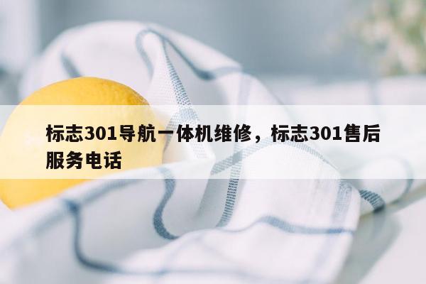 标志301导航一体机维修，标志301售后服务电话