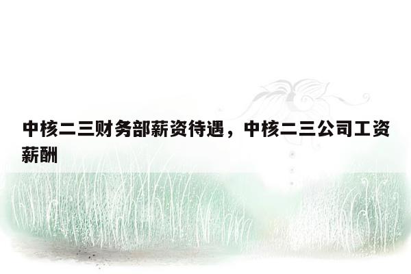 中核二三财务部薪资待遇，中核二三公司工资薪酬