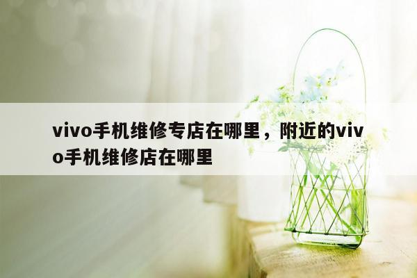 vivo手机维修专店在哪里，附近的vivo手机维修店在哪里